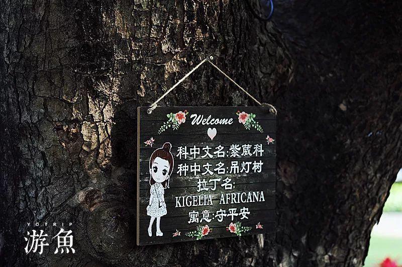 两车相撞 一女子当场昏迷!陵水警民联合救助……